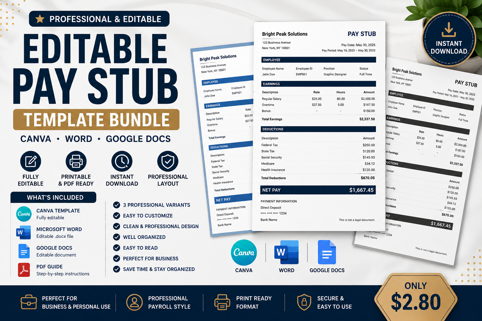 Editable Pay Stub Template Bundle – Canva, Word & Google Docs - DigiDown digital product